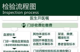 检验流程（附流程说明二维码）